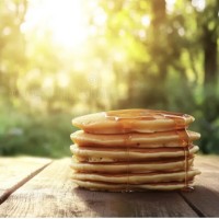 Sun pancake nature